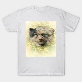 Manul-Pallas's cat T-Shirt